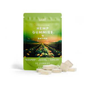 CBD + Delta 9 Gummies – Watermelon