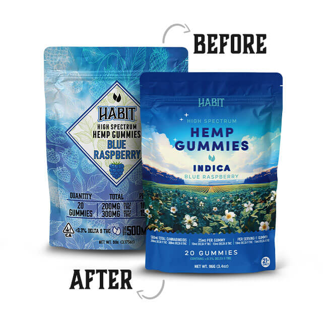 Delta 8 + Delta 9 Gummies - Blue Raspberry - Image 2