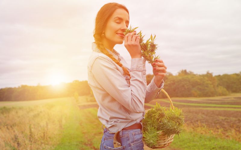 woman smelling cbd hemp flower