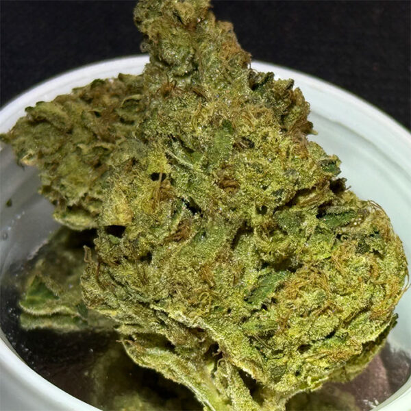 3.5g Exotic THCA Flower - Cereal Milk - Hybrid