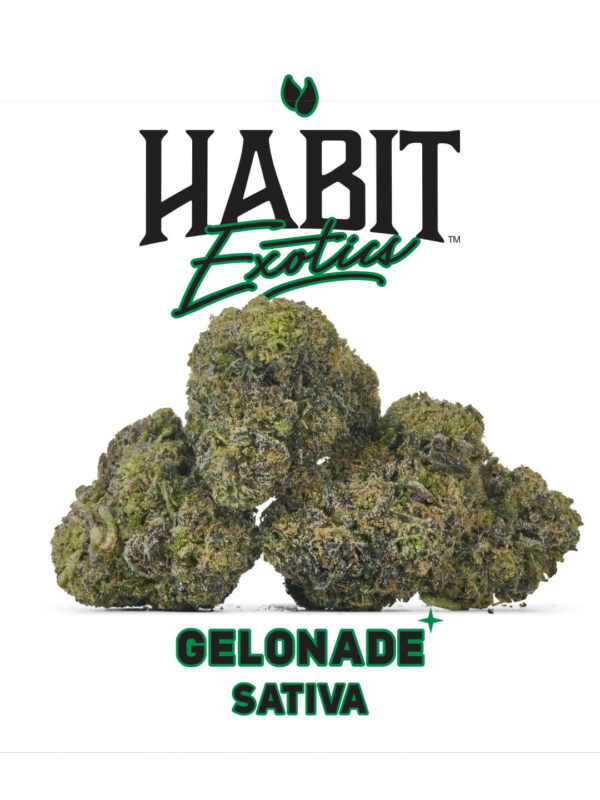 Habit THCA Exotics Flower Gelonade