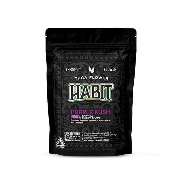 seeds for garden Survival Garden Seeds Home Garden Vegetable, Fruit & Herb Seed Bank Kit -  30 Seed Packs