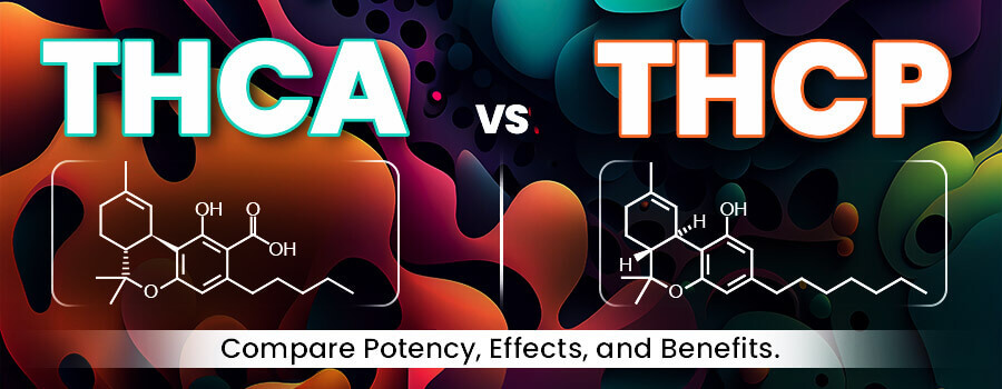 THCa vs THCP: Revealing the Differences