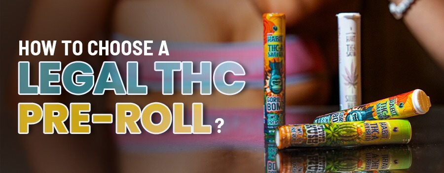 How to Choose a Legal THC Pre-Roll