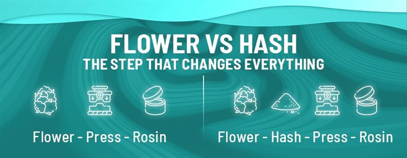 Flower vs Hash