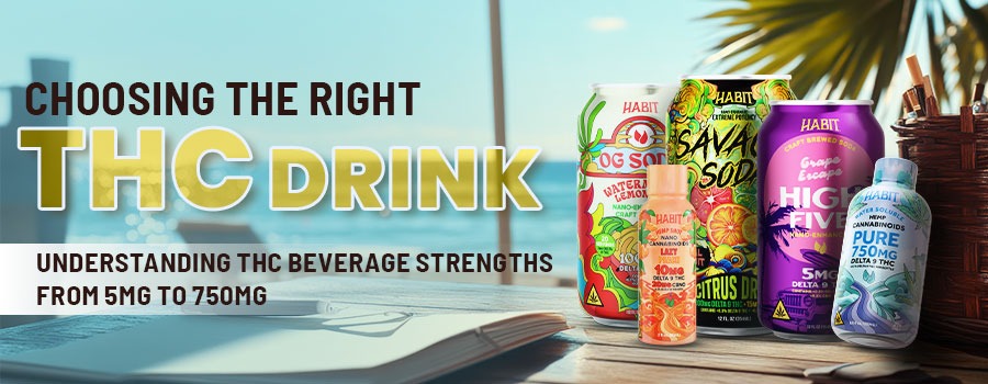 How To Choose the Right THC Drinks