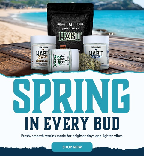 spring in Every Bud