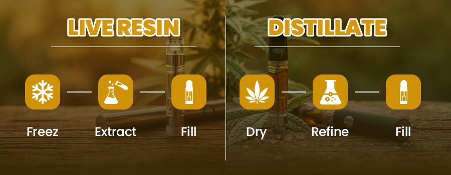 Live Resin vs Distilate