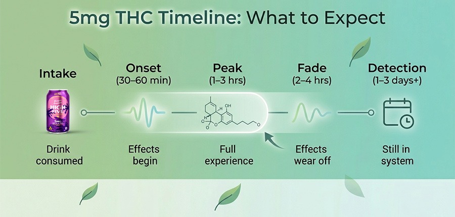 5MG THC - Detection Times and What to Expect