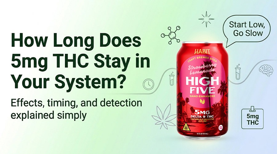 How Long Does 5MG THC Stay in Your System