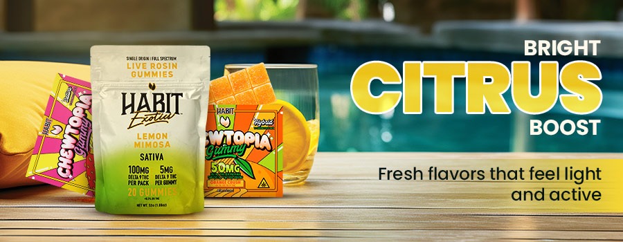 Citrus Gummies – Bright, Refreshing, and Just Feel Right in Spring 