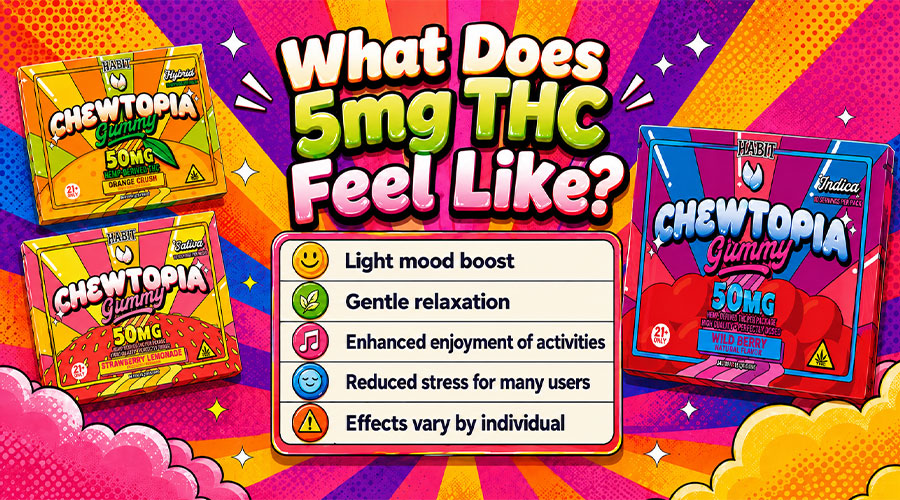 What Does a 5mg Edible Feel Like