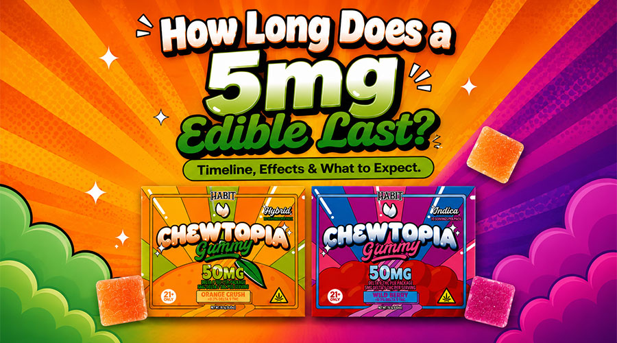 How Long Does a 5mg Edible Last?